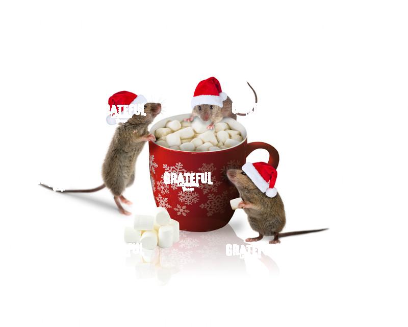 Christmas Hot Chocolate