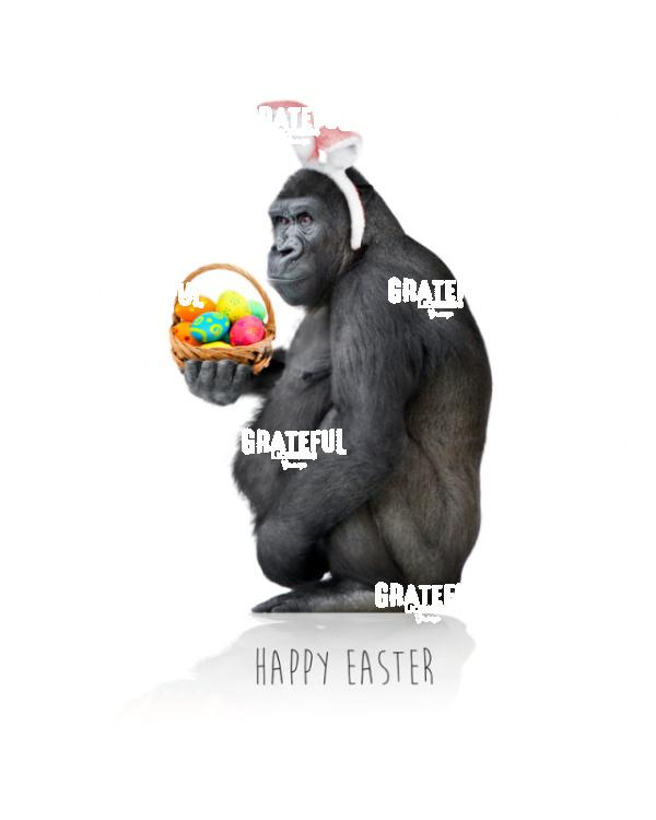 Easter Gorilla 1