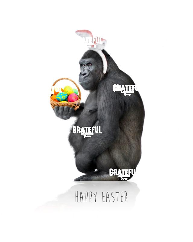 Easter Gorilla 1