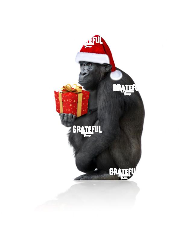 Christmas Gorilla