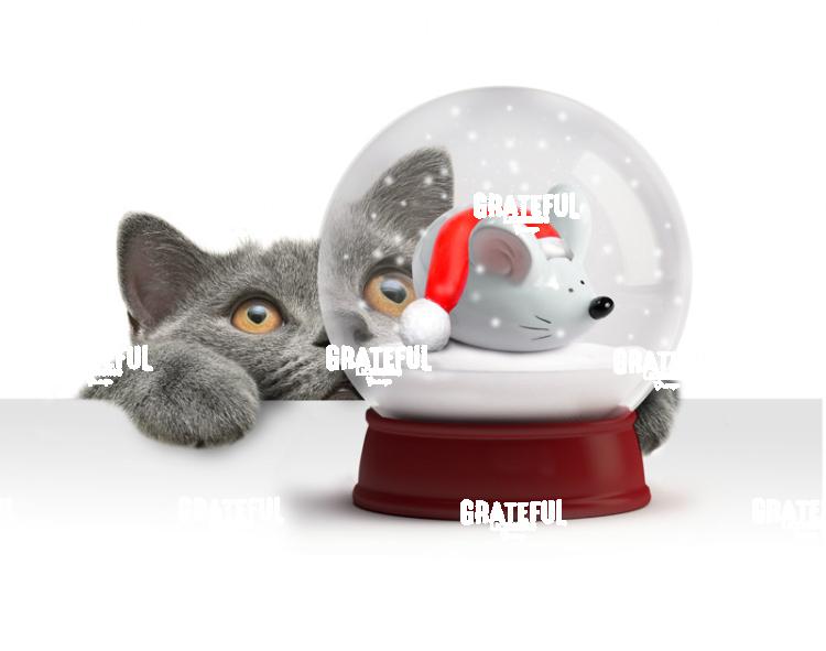 Christmas Snow Globe