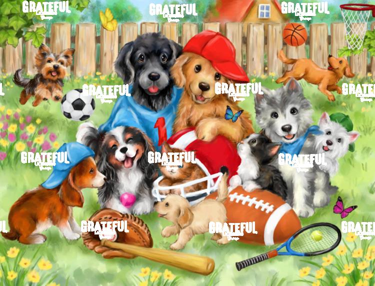 Sporty Dogs and Cats