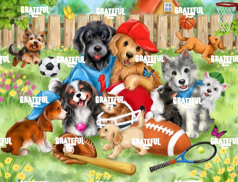 Sporty Dogs and Cats