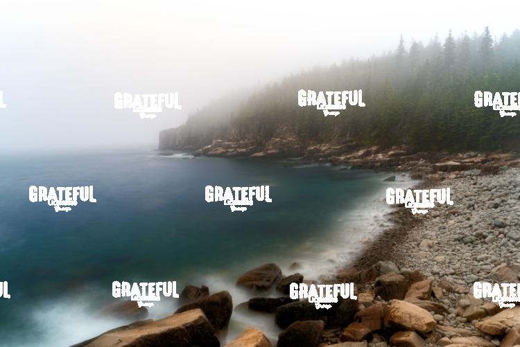 At the Edge of The Fog
