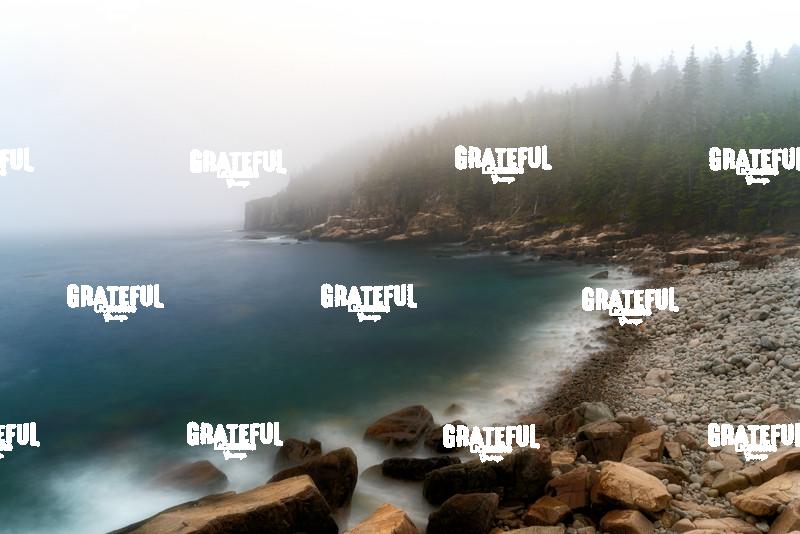 At the Edge of The Fog