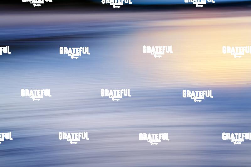 Notes from the Edge of Water