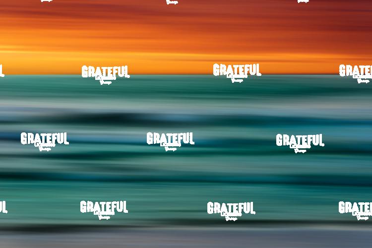 The Ocean