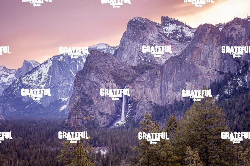 Woman and Her Three Brothers