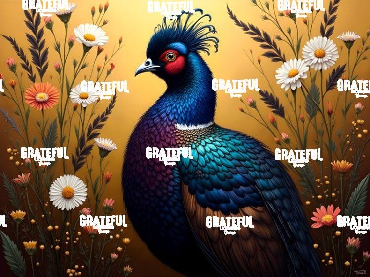 Golden Pheasant