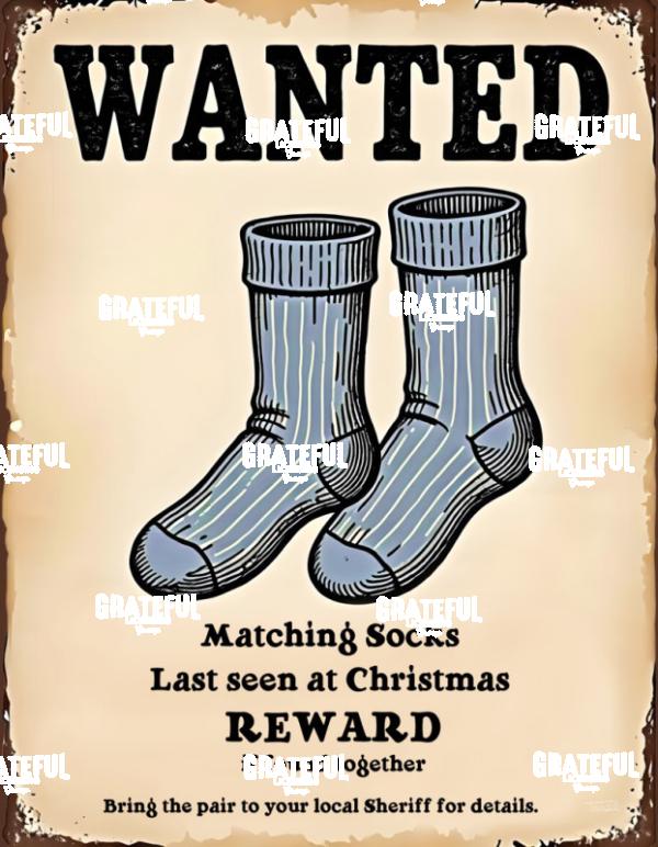 Wanted Matching Socks