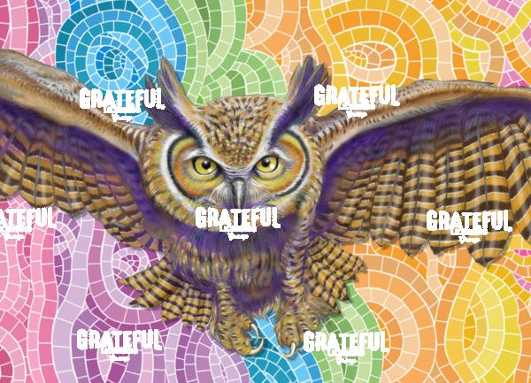 Great Horned Owl