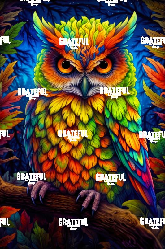 Leafy Owl at Night