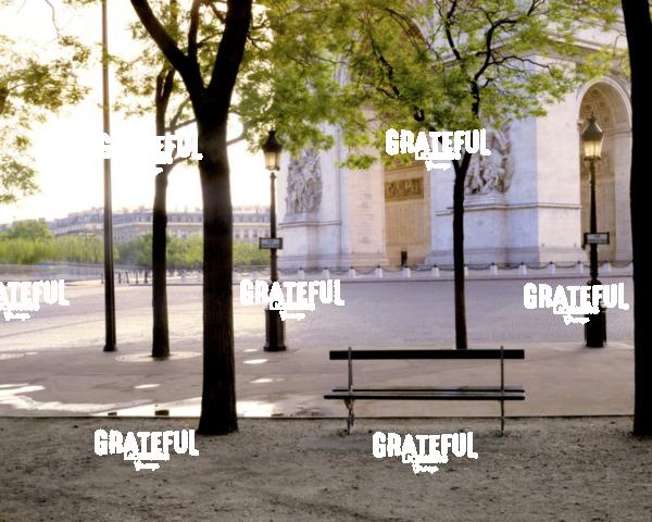 Syrena's Bench
