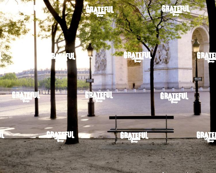 Syrena's Bench