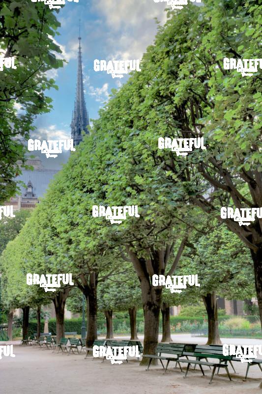 Paris A_0674_AB _Notre Dame Cathedral Parc Vista #2