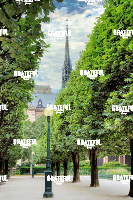 Paris A_0677_AB _Notre Dame Cathedral Parc Vista #3