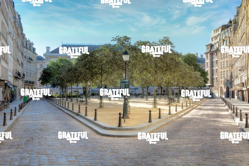 Paris C_0655_AB _Place Dauphine #1