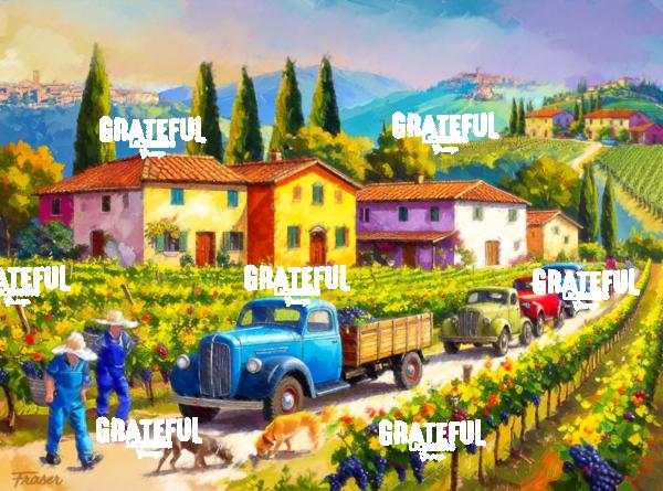 The Tuscan Vines