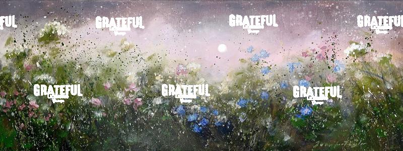 Wandering Free - 2025