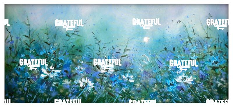 MOON SERENITY IN FRAME