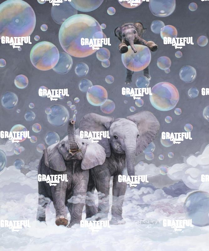 Elephant Family and Bubbles