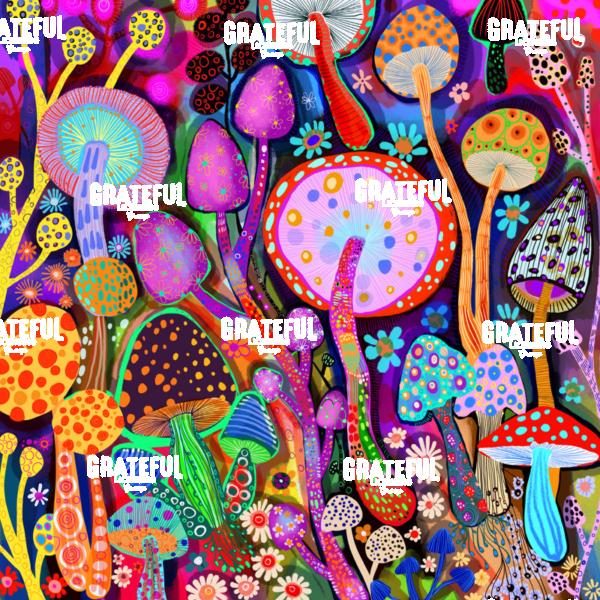 600 Mushrooms