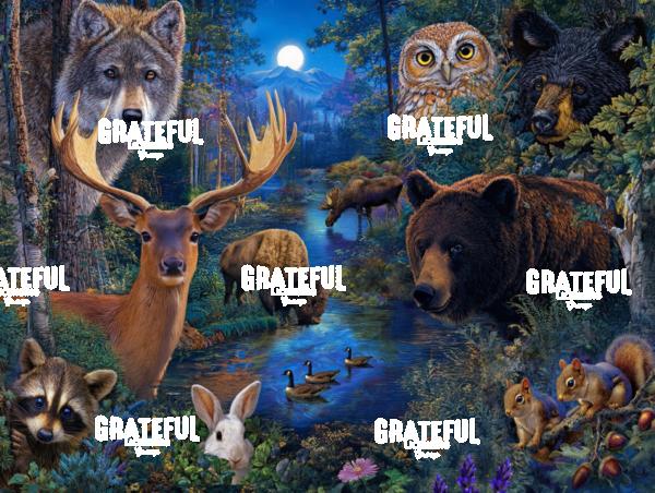 Wildlife