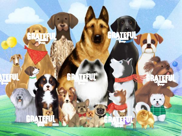 All Wags and Smiles