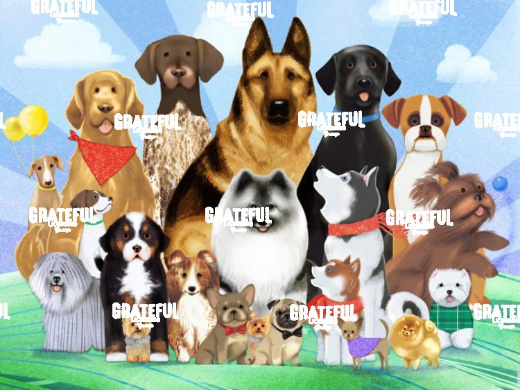 All Wags and Smiles