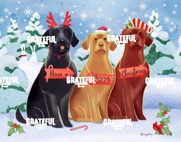 Labs on Christmas Holiday