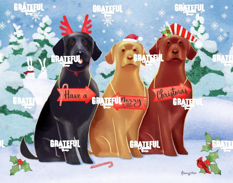 Labs on Christmas Holiday