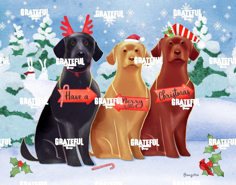Labs on Christmas Holiday