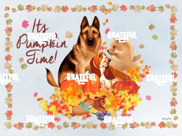 Pumpkin Pups Big and Small 2.jpg
