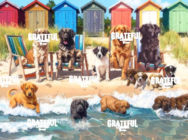 Dog Days at the Beach
