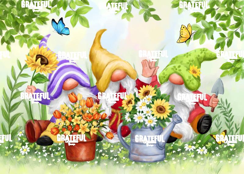 Happy Spring Gnomes