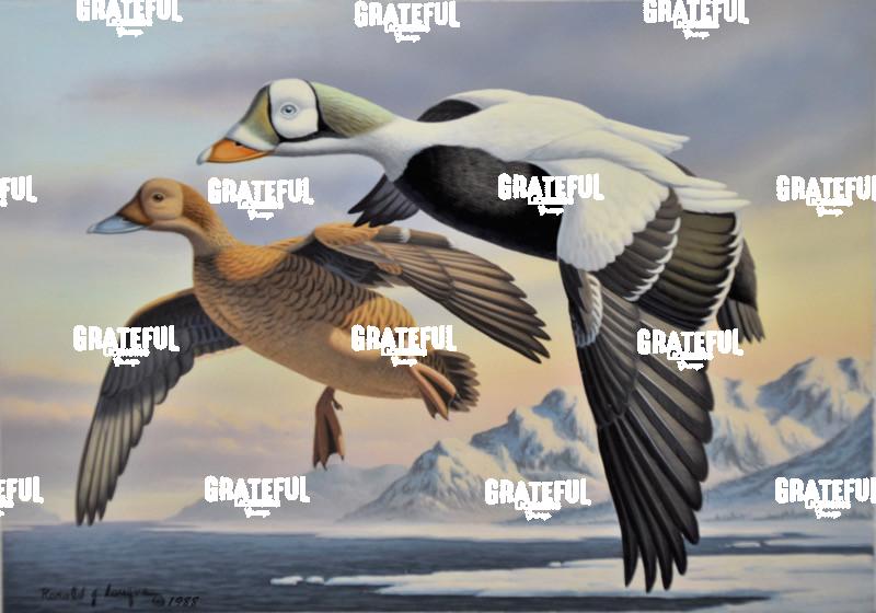 1988 Spectacled Eiders