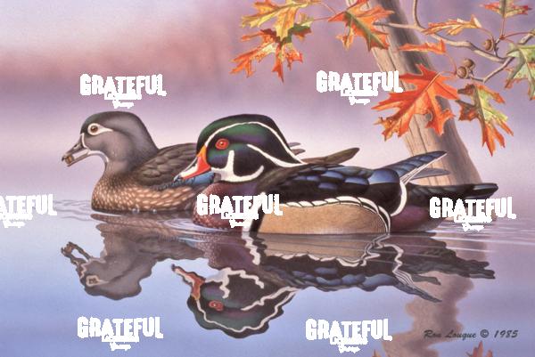 1985 Wood Duck se4