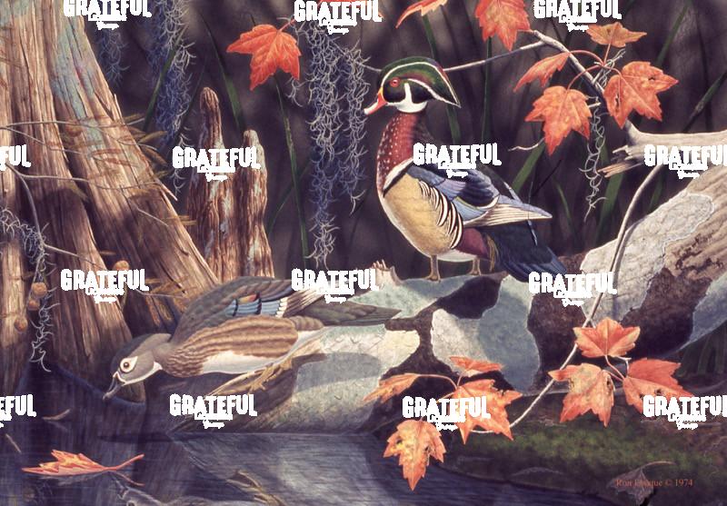 1975 Deep Swamp Woodies