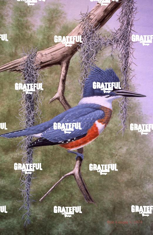 1975 King Fisher Perch