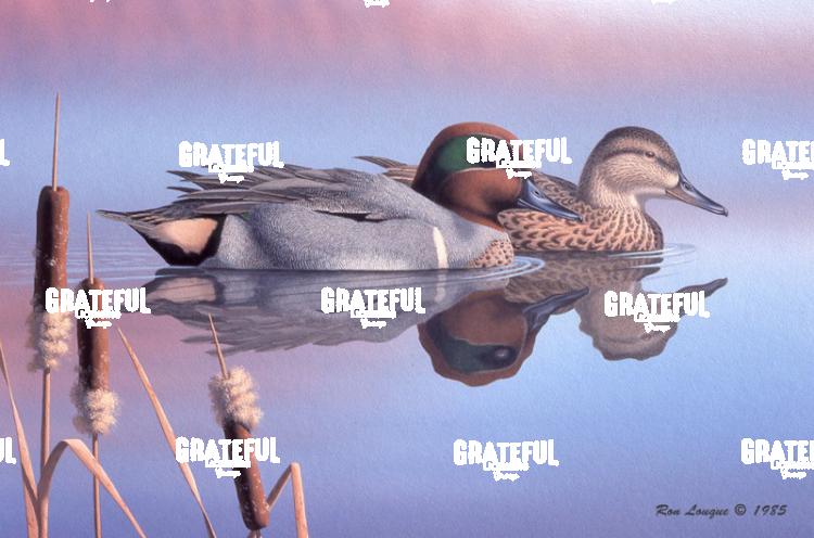 1985 Green Wings