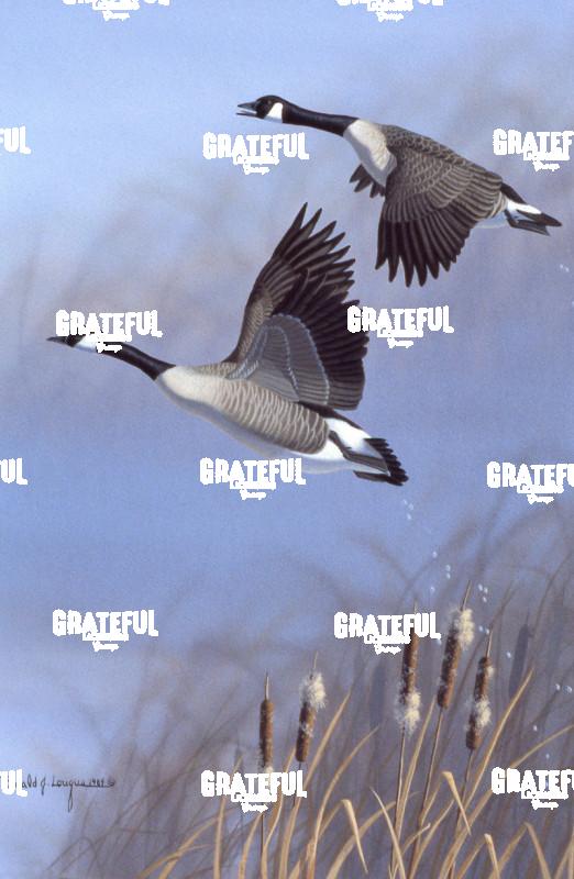 1984 Out Of The Marsh