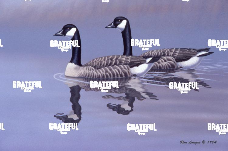 1984 Honkers