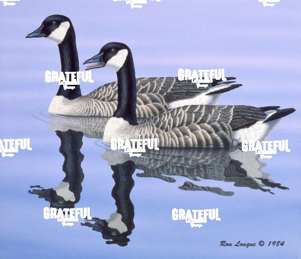 1984 Blue Water Canadas
