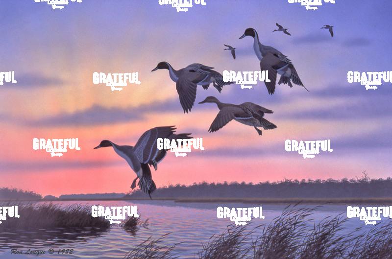 1982 Sunrise Landing