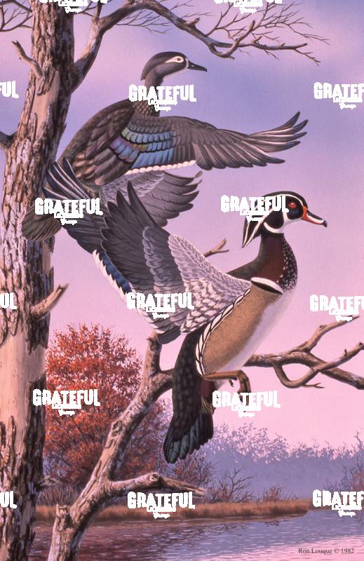 1982 Beaver Pond Woodies