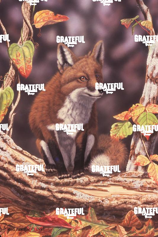 1981 Woodland Fox