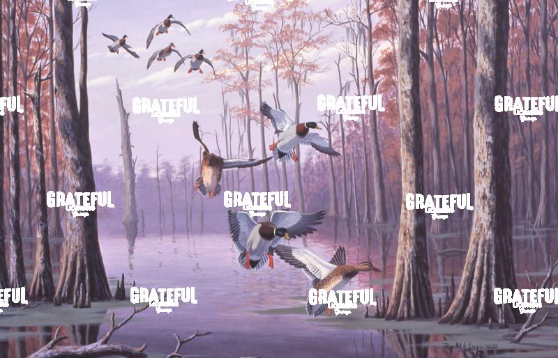 1981 Swamp Hole Mallards