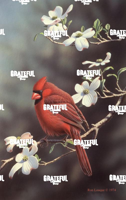 1997 Red bird