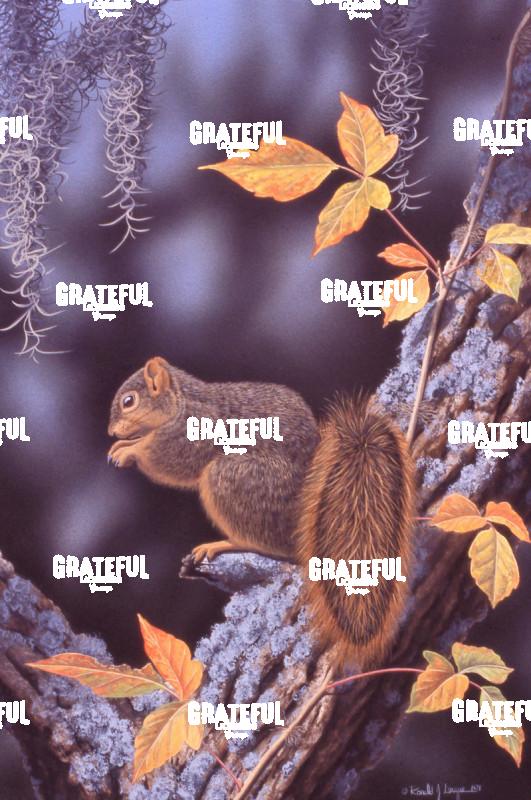 1979 Eating On A Limb