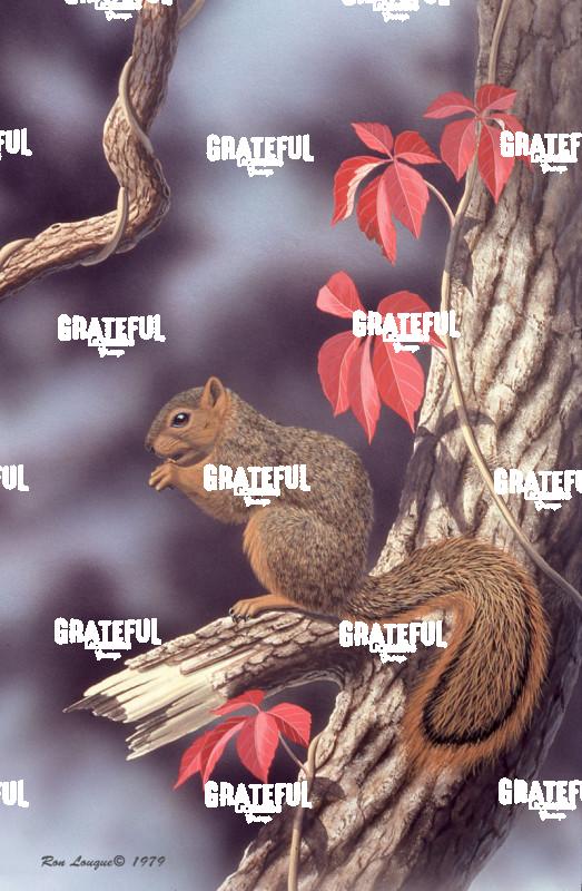 1979 Autumn Fox Squirrel
